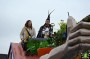 Thumbs/tn_Grote optocht 2024 178.jpg